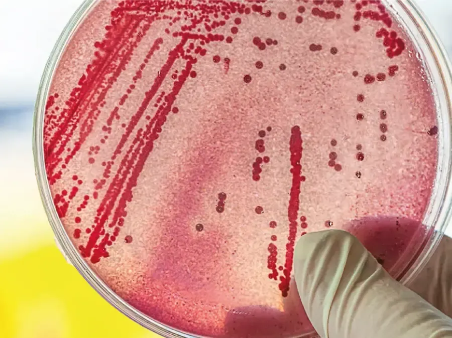 Galería Punto de Muestreo 1