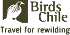 Birds Chile